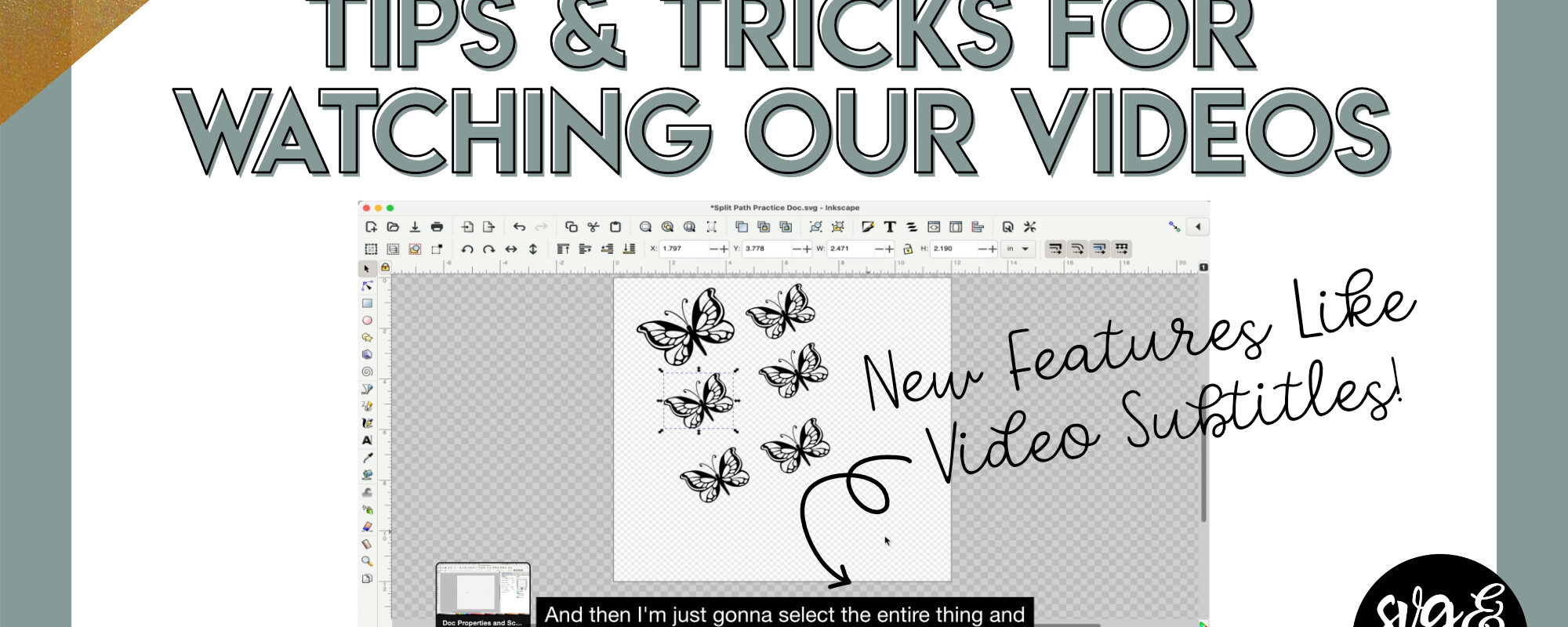 Tips & Tricks for Watching Our Videos