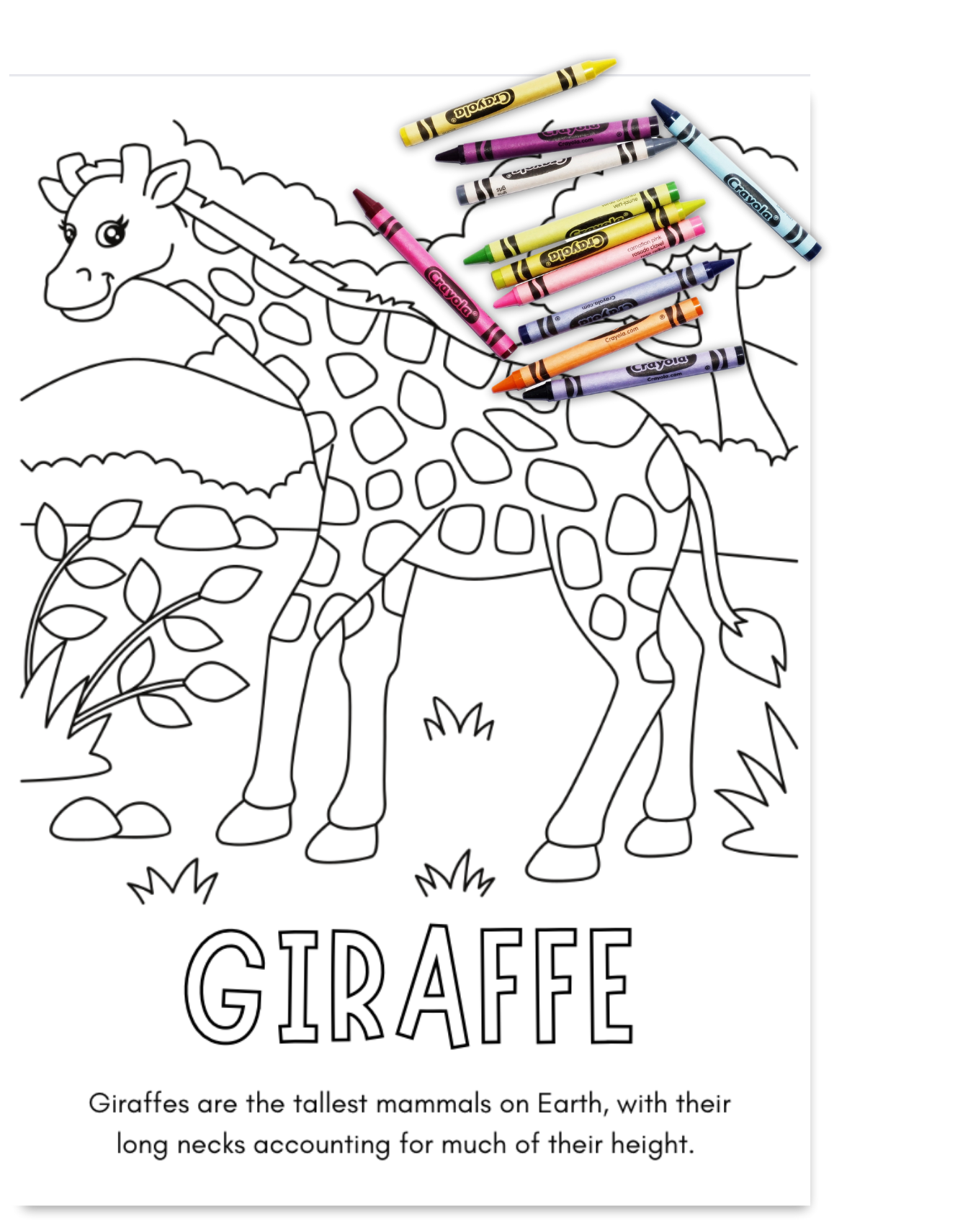Coloring Page example