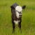 Profile picture of Jackie Barton